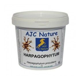 P25 EQUIPAM HARPAGOPHYTUM