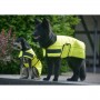 MANTEAU FLUO CHIEN