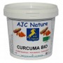 P147 - EQUIPAM CURCUMA BIO